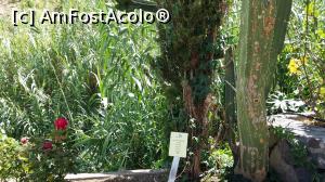 [P57] O zi şi o noapte în La Gomera - Molino de Gofio » foto by nicole33
 - 
<span class="allrVoted glyphicon glyphicon-heart hidden" id="av846622"></span>
<a class="m-l-10 hidden" id="sv846622" onclick="voting_Foto_DelVot(,846622,12735)" role="button">șterge vot <span class="glyphicon glyphicon-remove"></span></a>
<a id="v9846622" class=" c-red"  onclick="voting_Foto_SetVot(846622)" role="button"><span class="glyphicon glyphicon-heart-empty"></span> <b>LIKE</b> = Votează poza</a> <img class="hidden"  id="f846622W9" src="/imagini/loader.gif" border="0" /><span class="AjErrMes hidden" id="e846622ErM"></span>