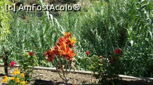 [P58] O zi şi o noapte în La Gomera - Molino de Gofio » foto by nicole33
 - 
<span class="allrVoted glyphicon glyphicon-heart hidden" id="av846623"></span>
<a class="m-l-10 hidden" id="sv846623" onclick="voting_Foto_DelVot(,846623,12735)" role="button">șterge vot <span class="glyphicon glyphicon-remove"></span></a>
<a id="v9846623" class=" c-red"  onclick="voting_Foto_SetVot(846623)" role="button"><span class="glyphicon glyphicon-heart-empty"></span> <b>LIKE</b> = Votează poza</a> <img class="hidden"  id="f846623W9" src="/imagini/loader.gif" border="0" /><span class="AjErrMes hidden" id="e846623ErM"></span>