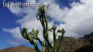 [P60] O zi şi o noapte în La Gomera - Molino de Gofio » foto by nicole33
 - 
<span class="allrVoted glyphicon glyphicon-heart hidden" id="av846625"></span>
<a class="m-l-10 hidden" id="sv846625" onclick="voting_Foto_DelVot(,846625,12735)" role="button">șterge vot <span class="glyphicon glyphicon-remove"></span></a>
<a id="v9846625" class=" c-red"  onclick="voting_Foto_SetVot(846625)" role="button"><span class="glyphicon glyphicon-heart-empty"></span> <b>LIKE</b> = Votează poza</a> <img class="hidden"  id="f846625W9" src="/imagini/loader.gif" border="0" /><span class="AjErrMes hidden" id="e846625ErM"></span>