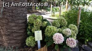 [P61] O zi şi o noapte în La Gomera - Molino de Gofio » foto by nicole33
 - 
<span class="allrVoted glyphicon glyphicon-heart hidden" id="av846626"></span>
<a class="m-l-10 hidden" id="sv846626" onclick="voting_Foto_DelVot(,846626,12735)" role="button">șterge vot <span class="glyphicon glyphicon-remove"></span></a>
<a id="v9846626" class=" c-red"  onclick="voting_Foto_SetVot(846626)" role="button"><span class="glyphicon glyphicon-heart-empty"></span> <b>LIKE</b> = Votează poza</a> <img class="hidden"  id="f846626W9" src="/imagini/loader.gif" border="0" /><span class="AjErrMes hidden" id="e846626ErM"></span>