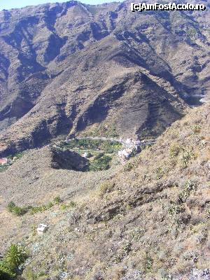 [P02] Insula Gomera, zona arida din sud, plina de cactusi Opuntia.  » foto by Hertha
 - 
<span class="allrVoted glyphicon glyphicon-heart hidden" id="av366119"></span>
<a class="m-l-10 hidden" id="sv366119" onclick="voting_Foto_DelVot(,366119,12735)" role="button">șterge vot <span class="glyphicon glyphicon-remove"></span></a>
<a id="v9366119" class=" c-red"  onclick="voting_Foto_SetVot(366119)" role="button"><span class="glyphicon glyphicon-heart-empty"></span> <b>LIKE</b> = Votează poza</a> <img class="hidden"  id="f366119W9" src="/imagini/loader.gif" border="0" /><span class="AjErrMes hidden" id="e366119ErM"></span>