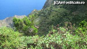 [P32] Insula Gomera, zona nordica.  » foto by Hertha
 - 
<span class="allrVoted glyphicon glyphicon-heart hidden" id="av366149"></span>
<a class="m-l-10 hidden" id="sv366149" onclick="voting_Foto_DelVot(,366149,12735)" role="button">șterge vot <span class="glyphicon glyphicon-remove"></span></a>
<a id="v9366149" class=" c-red"  onclick="voting_Foto_SetVot(366149)" role="button"><span class="glyphicon glyphicon-heart-empty"></span> <b>LIKE</b> = Votează poza</a> <img class="hidden"  id="f366149W9" src="/imagini/loader.gif" border="0" /><span class="AjErrMes hidden" id="e366149ErM"></span>