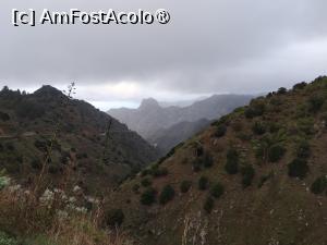[P18] Cromatică din La Gomera » foto by Marius 72
 - 
<span class="allrVoted glyphicon glyphicon-heart hidden" id="av1412038"></span>
<a class="m-l-10 hidden" id="sv1412038" onclick="voting_Foto_DelVot(,1412038,12735)" role="button">șterge vot <span class="glyphicon glyphicon-remove"></span></a>
<a id="v91412038" class=" c-red"  onclick="voting_Foto_SetVot(1412038)" role="button"><span class="glyphicon glyphicon-heart-empty"></span> <b>LIKE</b> = Votează poza</a> <img class="hidden"  id="f1412038W9" src="/imagini/loader.gif" border="0" /><span class="AjErrMes hidden" id="e1412038ErM"></span>