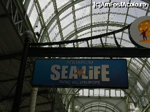 [P20] Acvariul. La subsol. Mi s-a parut cam scump. 14 euroi pt adulti. Cam mult. Nu stiu cat era de mare » foto by MCM
 - 
<span class="allrVoted glyphicon glyphicon-heart hidden" id="av366302"></span>
<a class="m-l-10 hidden" id="sv366302" onclick="voting_Foto_DelVot(,366302,12742)" role="button">șterge vot <span class="glyphicon glyphicon-remove"></span></a>
<a id="v9366302" class=" c-red"  onclick="voting_Foto_SetVot(366302)" role="button"><span class="glyphicon glyphicon-heart-empty"></span> <b>LIKE</b> = Votează poza</a> <img class="hidden"  id="f366302W9" src="/imagini/loader.gif" border="0" /><span class="AjErrMes hidden" id="e366302ErM"></span>