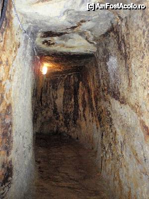 [P15] Muzeul Mineritului de la Rosia Montana, in interiorul galeriilor romane » foto by sunflower
 - 
<span class="allrVoted glyphicon glyphicon-heart hidden" id="av464940"></span>
<a class="m-l-10 hidden" id="sv464940" onclick="voting_Foto_DelVot(,464940,12752)" role="button">șterge vot <span class="glyphicon glyphicon-remove"></span></a>
<a id="v9464940" class=" c-red"  onclick="voting_Foto_SetVot(464940)" role="button"><span class="glyphicon glyphicon-heart-empty"></span> <b>LIKE</b> = Votează poza</a> <img class="hidden"  id="f464940W9" src="/imagini/loader.gif" border="0" /><span class="AjErrMes hidden" id="e464940ErM"></span>