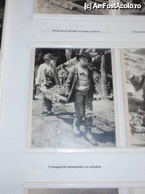 [P21] Muzeul Mineritului de la Rosia Montana, fotografii expuse in muzeu » foto by sunflower
 - 
<span class="allrVoted glyphicon glyphicon-heart hidden" id="av464946"></span>
<a class="m-l-10 hidden" id="sv464946" onclick="voting_Foto_DelVot(,464946,12752)" role="button">șterge vot <span class="glyphicon glyphicon-remove"></span></a>
<a id="v9464946" class=" c-red"  onclick="voting_Foto_SetVot(464946)" role="button"><span class="glyphicon glyphicon-heart-empty"></span> <b>LIKE</b> = Votează poza</a> <img class="hidden"  id="f464946W9" src="/imagini/loader.gif" border="0" /><span class="AjErrMes hidden" id="e464946ErM"></span>