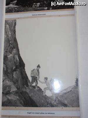 [P22] Muzeul Mineritului de la Rosia Montana, fotografii expuse in muzeu » foto by sunflower
 - 
<span class="allrVoted glyphicon glyphicon-heart hidden" id="av464947"></span>
<a class="m-l-10 hidden" id="sv464947" onclick="voting_Foto_DelVot(,464947,12752)" role="button">șterge vot <span class="glyphicon glyphicon-remove"></span></a>
<a id="v9464947" class=" c-red"  onclick="voting_Foto_SetVot(464947)" role="button"><span class="glyphicon glyphicon-heart-empty"></span> <b>LIKE</b> = Votează poza</a> <img class="hidden"  id="f464947W9" src="/imagini/loader.gif" border="0" /><span class="AjErrMes hidden" id="e464947ErM"></span>
