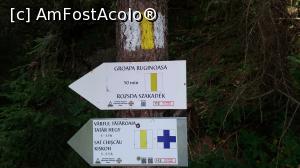 [P37] Indicatorul de la intrarea în pădure » foto by costy69*
 - 
<span class="allrVoted glyphicon glyphicon-heart hidden" id="av910577"></span>
<a class="m-l-10 hidden" id="sv910577" onclick="voting_Foto_DelVot(,910577,12752)" role="button">șterge vot <span class="glyphicon glyphicon-remove"></span></a>
<a id="v9910577" class=" c-red"  onclick="voting_Foto_SetVot(910577)" role="button"><span class="glyphicon glyphicon-heart-empty"></span> <b>LIKE</b> = Votează poza</a> <img class="hidden"  id="f910577W9" src="/imagini/loader.gif" border="0" /><span class="AjErrMes hidden" id="e910577ErM"></span>