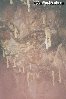 [P20] Stalactite în Peştera Urşilor » foto by Costi
 - 
<span class="allrVoted glyphicon glyphicon-heart hidden" id="av43573"></span>
<a class="m-l-10 hidden" id="sv43573" onclick="voting_Foto_DelVot(,43573,12752)" role="button">șterge vot <span class="glyphicon glyphicon-remove"></span></a>
<a id="v943573" class=" c-red"  onclick="voting_Foto_SetVot(43573)" role="button"><span class="glyphicon glyphicon-heart-empty"></span> <b>LIKE</b> = Votează poza</a> <img class="hidden"  id="f43573W9" src="/imagini/loader.gif" border="0" /><span class="AjErrMes hidden" id="e43573ErM"></span>