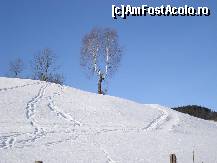 [P31] ador aceasta poza...e preferata mea » foto by libertango
 - 
<span class="allrVoted glyphicon glyphicon-heart hidden" id="av57375"></span>
<a class="m-l-10 hidden" id="sv57375" onclick="voting_Foto_DelVot(,57375,12752)" role="button">șterge vot <span class="glyphicon glyphicon-remove"></span></a>
<a id="v957375" class=" c-red"  onclick="voting_Foto_SetVot(57375)" role="button"><span class="glyphicon glyphicon-heart-empty"></span> <b>LIKE</b> = Votează poza</a> <img class="hidden"  id="f57375W9" src="/imagini/loader.gif" border="0" /><span class="AjErrMes hidden" id="e57375ErM"></span>
