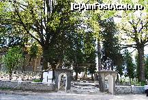 [P18] Panteonul motilor - in drepta se observa gorunul lui Avram Iancu. » foto by gregorio
 - 
<span class="allrVoted glyphicon glyphicon-heart hidden" id="av168804"></span>
<a class="m-l-10 hidden" id="sv168804" onclick="voting_Foto_DelVot(,168804,12752)" role="button">șterge vot <span class="glyphicon glyphicon-remove"></span></a>
<a id="v9168804" class=" c-red"  onclick="voting_Foto_SetVot(168804)" role="button"><span class="glyphicon glyphicon-heart-empty"></span> <b>LIKE</b> = Votează poza</a> <img class="hidden"  id="f168804W9" src="/imagini/loader.gif" border="0" /><span class="AjErrMes hidden" id="e168804ErM"></span>