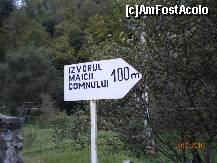 [P34]  -- <small>// FĂRĂ DESCRIERE</small> » foto by Alina Morar
 - 
<span class="allrVoted glyphicon glyphicon-heart hidden" id="av156637"></span>
<a class="m-l-10 hidden" id="sv156637" onclick="voting_Foto_DelVot(,156637,12752)" role="button">șterge vot <span class="glyphicon glyphicon-remove"></span></a>
<a id="v9156637" class=" c-red"  onclick="voting_Foto_SetVot(156637)" role="button"><span class="glyphicon glyphicon-heart-empty"></span> <b>LIKE</b> = Votează poza</a> <img class="hidden"  id="f156637W9" src="/imagini/loader.gif" border="0" /><span class="AjErrMes hidden" id="e156637ErM"></span>
