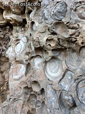 [P10] Dealul cu Melci. » foto by tata123 🔱
 - 
<span class="allrVoted glyphicon glyphicon-heart hidden" id="av1343370"></span>
<a class="m-l-10 hidden" id="sv1343370" onclick="voting_Foto_DelVot(,1343370,12752)" role="button">șterge vot <span class="glyphicon glyphicon-remove"></span></a>
<a id="v91343370" class=" c-red"  onclick="voting_Foto_SetVot(1343370)" role="button"><span class="glyphicon glyphicon-heart-empty"></span> <b>LIKE</b> = Votează poza</a> <img class="hidden"  id="f1343370W9" src="/imagini/loader.gif" border="0" /><span class="AjErrMes hidden" id="e1343370ErM"></span>