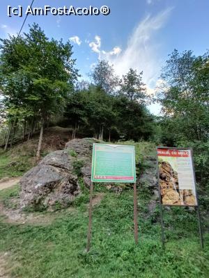 [P11] Panouri cu informații lângă punctul Dealul cu Melci. » foto by tata123 🔱
 - 
<span class="allrVoted glyphicon glyphicon-heart hidden" id="av1343371"></span>
<a class="m-l-10 hidden" id="sv1343371" onclick="voting_Foto_DelVot(,1343371,12752)" role="button">șterge vot <span class="glyphicon glyphicon-remove"></span></a>
<a id="v91343371" class=" c-red"  onclick="voting_Foto_SetVot(1343371)" role="button"><span class="glyphicon glyphicon-heart-empty"></span> <b>LIKE</b> = Votează poza</a> <img class="hidden"  id="f1343371W9" src="/imagini/loader.gif" border="0" /><span class="AjErrMes hidden" id="e1343371ErM"></span>