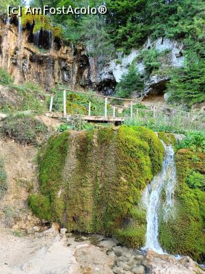 [P03] Podul de la cascada Pișoaia. » foto by tata123 🔱
 - 
<span class="allrVoted glyphicon glyphicon-heart hidden" id="av1343363"></span>
<a class="m-l-10 hidden" id="sv1343363" onclick="voting_Foto_DelVot(,1343363,12752)" role="button">șterge vot <span class="glyphicon glyphicon-remove"></span></a>
<a id="v91343363" class=" c-red"  onclick="voting_Foto_SetVot(1343363)" role="button"><span class="glyphicon glyphicon-heart-empty"></span> <b>LIKE</b> = Votează poza</a> <img class="hidden"  id="f1343363W9" src="/imagini/loader.gif" border="0" /><span class="AjErrMes hidden" id="e1343363ErM"></span>