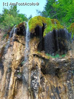 [P07] Cascada Pișoaia - de poveste! » foto by tata123 🔱
 - 
<span class="allrVoted glyphicon glyphicon-heart hidden" id="av1343367"></span>
<a class="m-l-10 hidden" id="sv1343367" onclick="voting_Foto_DelVot(,1343367,12752)" role="button">șterge vot <span class="glyphicon glyphicon-remove"></span></a>
<a id="v91343367" class=" c-red"  onclick="voting_Foto_SetVot(1343367)" role="button"><span class="glyphicon glyphicon-heart-empty"></span> <b>LIKE</b> = Votează poza</a> <img class="hidden"  id="f1343367W9" src="/imagini/loader.gif" border="0" /><span class="AjErrMes hidden" id="e1343367ErM"></span>