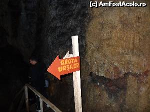 [P19] Cea mai atractivă zonă din peşteră » foto by Marian Preda
 - 
<span class="allrVoted glyphicon glyphicon-heart hidden" id="av651308"></span>
<a class="m-l-10 hidden" id="sv651308" onclick="voting_Foto_DelVot(,651308,12760)" role="button">șterge vot <span class="glyphicon glyphicon-remove"></span></a>
<a id="v9651308" class=" c-red"  onclick="voting_Foto_SetVot(651308)" role="button"><span class="glyphicon glyphicon-heart-empty"></span> <b>LIKE</b> = Votează poza</a> <img class="hidden"  id="f651308W9" src="/imagini/loader.gif" border="0" /><span class="AjErrMes hidden" id="e651308ErM"></span>