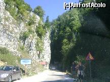 [P02] intrarea in rezervatia piatra craiului » foto by dotze3ka
 - 
<span class="allrVoted glyphicon glyphicon-heart hidden" id="av196311"></span>
<a class="m-l-10 hidden" id="sv196311" onclick="voting_Foto_DelVot(,196311,12765)" role="button">șterge vot <span class="glyphicon glyphicon-remove"></span></a>
<a id="v9196311" class=" c-red"  onclick="voting_Foto_SetVot(196311)" role="button"><span class="glyphicon glyphicon-heart-empty"></span> <b>LIKE</b> = Votează poza</a> <img class="hidden"  id="f196311W9" src="/imagini/loader.gif" border="0" /><span class="AjErrMes hidden" id="e196311ErM"></span>