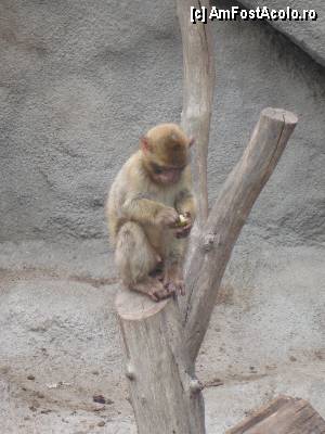[P19]  -- <small>// FĂRĂ DESCRIERE</small> » foto by vanda
 - 
<span class="allrVoted glyphicon glyphicon-heart hidden" id="av367885"></span>
<a class="m-l-10 hidden" id="sv367885" onclick="voting_Foto_DelVot(,367885,12774)" role="button">șterge vot <span class="glyphicon glyphicon-remove"></span></a>
<a id="v9367885" class=" c-red"  onclick="voting_Foto_SetVot(367885)" role="button"><span class="glyphicon glyphicon-heart-empty"></span> <b>LIKE</b> = Votează poza</a> <img class="hidden"  id="f367885W9" src="/imagini/loader.gif" border="0" /><span class="AjErrMes hidden" id="e367885ErM"></span>