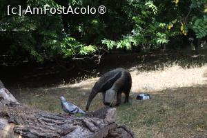 [P10]  -- <small>// FĂRĂ DESCRIERE</small> » foto by mont
 - 
<span class="allrVoted glyphicon glyphicon-heart hidden" id="av1511758"></span>
<a class="m-l-10 hidden" id="sv1511758" onclick="voting_Foto_DelVot(,1511758,12774)" role="button">șterge vot <span class="glyphicon glyphicon-remove"></span></a>
<a id="v91511758" class=" c-red"  onclick="voting_Foto_SetVot(1511758)" role="button"><span class="glyphicon glyphicon-heart-empty"></span> <b>LIKE</b> = Votează poza</a> <img class="hidden"  id="f1511758W9" src="/imagini/loader.gif" border="0" /><span class="AjErrMes hidden" id="e1511758ErM"></span>