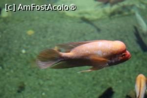 [P13]  -- <small>// FĂRĂ DESCRIERE</small> » foto by mont
 - 
<span class="allrVoted glyphicon glyphicon-heart hidden" id="av1511761"></span>
<a class="m-l-10 hidden" id="sv1511761" onclick="voting_Foto_DelVot(,1511761,12774)" role="button">șterge vot <span class="glyphicon glyphicon-remove"></span></a>
<a id="v91511761" class=" c-red"  onclick="voting_Foto_SetVot(1511761)" role="button"><span class="glyphicon glyphicon-heart-empty"></span> <b>LIKE</b> = Votează poza</a> <img class="hidden"  id="f1511761W9" src="/imagini/loader.gif" border="0" /><span class="AjErrMes hidden" id="e1511761ErM"></span>