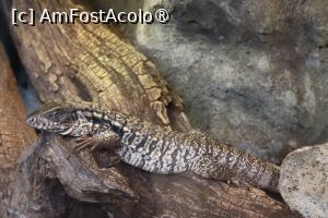 [P02]  -- <small>// FĂRĂ DESCRIERE</small> » foto by mont
 - 
<span class="allrVoted glyphicon glyphicon-heart hidden" id="av1511750"></span>
<a class="m-l-10 hidden" id="sv1511750" onclick="voting_Foto_DelVot(,1511750,12774)" role="button">șterge vot <span class="glyphicon glyphicon-remove"></span></a>
<a id="v91511750" class=" c-red"  onclick="voting_Foto_SetVot(1511750)" role="button"><span class="glyphicon glyphicon-heart-empty"></span> <b>LIKE</b> = Votează poza</a> <img class="hidden"  id="f1511750W9" src="/imagini/loader.gif" border="0" /><span class="AjErrMes hidden" id="e1511750ErM"></span>