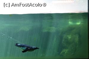 [P22]  -- <small>// FĂRĂ DESCRIERE</small> » foto by mont
 - 
<span class="allrVoted glyphicon glyphicon-heart hidden" id="av1511770"></span>
<a class="m-l-10 hidden" id="sv1511770" onclick="voting_Foto_DelVot(,1511770,12774)" role="button">șterge vot <span class="glyphicon glyphicon-remove"></span></a>
<a id="v91511770" class=" c-red"  onclick="voting_Foto_SetVot(1511770)" role="button"><span class="glyphicon glyphicon-heart-empty"></span> <b>LIKE</b> = Votează poza</a> <img class="hidden"  id="f1511770W9" src="/imagini/loader.gif" border="0" /><span class="AjErrMes hidden" id="e1511770ErM"></span>