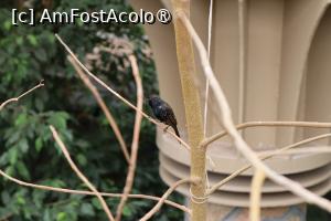 [P34]  -- <small>// FĂRĂ DESCRIERE</small> » foto by mont
 - 
<span class="allrVoted glyphicon glyphicon-heart hidden" id="av1511782"></span>
<a class="m-l-10 hidden" id="sv1511782" onclick="voting_Foto_DelVot(,1511782,12774)" role="button">șterge vot <span class="glyphicon glyphicon-remove"></span></a>
<a id="v91511782" class=" c-red"  onclick="voting_Foto_SetVot(1511782)" role="button"><span class="glyphicon glyphicon-heart-empty"></span> <b>LIKE</b> = Votează poza</a> <img class="hidden"  id="f1511782W9" src="/imagini/loader.gif" border="0" /><span class="AjErrMes hidden" id="e1511782ErM"></span>