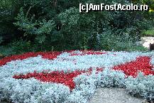 [P20] Unul din aranjamentele florale ... » foto by rodik
 - 
<span class="allrVoted glyphicon glyphicon-heart hidden" id="av110186"></span>
<a class="m-l-10 hidden" id="sv110186" onclick="voting_Foto_DelVot(,110186,12774)" role="button">șterge vot <span class="glyphicon glyphicon-remove"></span></a>
<a id="v9110186" class=" c-red"  onclick="voting_Foto_SetVot(110186)" role="button"><span class="glyphicon glyphicon-heart-empty"></span> <b>LIKE</b> = Votează poza</a> <img class="hidden"  id="f110186W9" src="/imagini/loader.gif" border="0" /><span class="AjErrMes hidden" id="e110186ErM"></span>