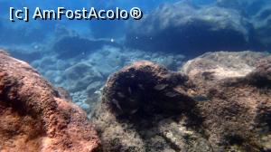 [P09] Agios Nikitas - o haită de pești » foto by Dragoș_MD
 - 
<span class="allrVoted glyphicon glyphicon-heart hidden" id="av904688"></span>
<a class="m-l-10 hidden" id="sv904688" onclick="voting_Foto_DelVot(,904688,12776)" role="button">șterge vot <span class="glyphicon glyphicon-remove"></span></a>
<a id="v9904688" class=" c-red"  onclick="voting_Foto_SetVot(904688)" role="button"><span class="glyphicon glyphicon-heart-empty"></span> <b>LIKE</b> = Votează poza</a> <img class="hidden"  id="f904688W9" src="/imagini/loader.gif" border="0" /><span class="AjErrMes hidden" id="e904688ErM"></span>