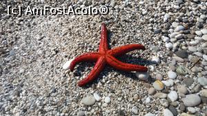 [P36] PLAJA SECRETA » foto by wolf2001*
 - 
<span class="allrVoted glyphicon glyphicon-heart hidden" id="av763409"></span>
<a class="m-l-10 hidden" id="sv763409" onclick="voting_Foto_DelVot(,763409,12776)" role="button">șterge vot <span class="glyphicon glyphicon-remove"></span></a>
<a id="v9763409" class=" c-red"  onclick="voting_Foto_SetVot(763409)" role="button"><span class="glyphicon glyphicon-heart-empty"></span> <b>LIKE</b> = Votează poza</a> <img class="hidden"  id="f763409W9" src="/imagini/loader.gif" border="0" /><span class="AjErrMes hidden" id="e763409ErM"></span>