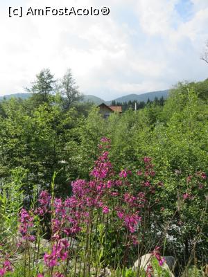 [P15] Pensiunea Belmonte în mijlocul naturii.  » foto by tata123 🔱
 - 
<span class="allrVoted glyphicon glyphicon-heart hidden" id="av745962"></span>
<a class="m-l-10 hidden" id="sv745962" onclick="voting_Foto_DelVot(,745962,12785)" role="button">șterge vot <span class="glyphicon glyphicon-remove"></span></a>
<a id="v9745962" class=" c-red"  onclick="voting_Foto_SetVot(745962)" role="button"><span class="glyphicon glyphicon-heart-empty"></span> <b>LIKE</b> = Votează poza</a> <img class="hidden"  id="f745962W9" src="/imagini/loader.gif" border="0" /><span class="AjErrMes hidden" id="e745962ErM"></span>