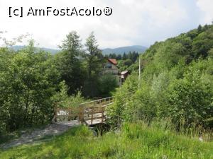[P03] Apă și vegetație - lumea naturală a Pensiunii Belmonte.  » foto by tata123 🔱
 - 
<span class="allrVoted glyphicon glyphicon-heart hidden" id="av745950"></span>
<a class="m-l-10 hidden" id="sv745950" onclick="voting_Foto_DelVot(,745950,12785)" role="button">șterge vot <span class="glyphicon glyphicon-remove"></span></a>
<a id="v9745950" class=" c-red"  onclick="voting_Foto_SetVot(745950)" role="button"><span class="glyphicon glyphicon-heart-empty"></span> <b>LIKE</b> = Votează poza</a> <img class="hidden"  id="f745950W9" src="/imagini/loader.gif" border="0" /><span class="AjErrMes hidden" id="e745950ErM"></span>