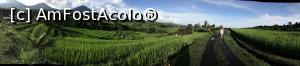 [P16] Bali - Unesco Heritage - panoramic view lanul de grau - aprilie » foto by patrick007
 - 
<span class="allrVoted glyphicon glyphicon-heart hidden" id="av1036859"></span>
<a class="m-l-10 hidden" id="sv1036859" onclick="voting_Foto_DelVot(,1036859,12798)" role="button">șterge vot <span class="glyphicon glyphicon-remove"></span></a>
<a id="v91036859" class=" c-red"  onclick="voting_Foto_SetVot(1036859)" role="button"><span class="glyphicon glyphicon-heart-empty"></span> <b>LIKE</b> = Votează poza</a> <img class="hidden"  id="f1036859W9" src="/imagini/loader.gif" border="0" /><span class="AjErrMes hidden" id="e1036859ErM"></span>
