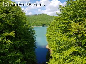 [P04] De la Marea Roşie la Marea Verde - lacul de acumulare de la barajul Paltinu » foto by nicole33
 - 
<span class="allrVoted glyphicon glyphicon-heart hidden" id="av1167497"></span>
<a class="m-l-10 hidden" id="sv1167497" onclick="voting_Foto_DelVot(,1167497,12803)" role="button">șterge vot <span class="glyphicon glyphicon-remove"></span></a>
<a id="v91167497" class=" c-red"  onclick="voting_Foto_SetVot(1167497)" role="button"><span class="glyphicon glyphicon-heart-empty"></span> <b>LIKE</b> = Votează poza</a> <img class="hidden"  id="f1167497W9" src="/imagini/loader.gif" border="0" /><span class="AjErrMes hidden" id="e1167497ErM"></span>