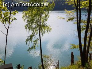 [P06] De la Marea Roşie la Marea Verde - lacul de acumulare de la barajul Paltinu » foto by nicole33
 - 
<span class="allrVoted glyphicon glyphicon-heart hidden" id="av1167499"></span>
<a class="m-l-10 hidden" id="sv1167499" onclick="voting_Foto_DelVot(,1167499,12803)" role="button">șterge vot <span class="glyphicon glyphicon-remove"></span></a>
<a id="v91167499" class=" c-red"  onclick="voting_Foto_SetVot(1167499)" role="button"><span class="glyphicon glyphicon-heart-empty"></span> <b>LIKE</b> = Votează poza</a> <img class="hidden"  id="f1167499W9" src="/imagini/loader.gif" border="0" /><span class="AjErrMes hidden" id="e1167499ErM"></span>