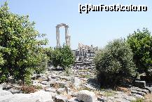 [P01] Templul lui Apollo din Didim.  » foto by anca39*
 - 
<span class="allrVoted glyphicon glyphicon-heart hidden" id="av437745"></span>
<a class="m-l-10 hidden" id="sv437745" onclick="voting_Foto_DelVot(,437745,12809)" role="button">șterge vot <span class="glyphicon glyphicon-remove"></span></a>
<a id="v9437745" class=" c-red"  onclick="voting_Foto_SetVot(437745)" role="button"><span class="glyphicon glyphicon-heart-empty"></span> <b>LIKE</b> = Votează poza</a> <img class="hidden"  id="f437745W9" src="/imagini/loader.gif" border="0" /><span class="AjErrMes hidden" id="e437745ErM"></span>