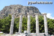 [P07] Ruinele templului zeitei Atena din Priene.  » foto by anca39*
 - 
<span class="allrVoted glyphicon glyphicon-heart hidden" id="av437751"></span>
<a class="m-l-10 hidden" id="sv437751" onclick="voting_Foto_DelVot(,437751,12809)" role="button">șterge vot <span class="glyphicon glyphicon-remove"></span></a>
<a id="v9437751" class=" c-red"  onclick="voting_Foto_SetVot(437751)" role="button"><span class="glyphicon glyphicon-heart-empty"></span> <b>LIKE</b> = Votează poza</a> <img class="hidden"  id="f437751W9" src="/imagini/loader.gif" border="0" /><span class="AjErrMes hidden" id="e437751ErM"></span>