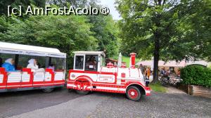 [P04] In interiorul proprietatii, pentru comoditate se poate accesa trenuletul „Tratzberg Express”, care circula constant si te duce prin padurea romantica a castelului, direct la castel, pentru 2 euro/persoana. » foto by geani anto
 - 
<span class="allrVoted glyphicon glyphicon-heart hidden" id="av1419418"></span>
<a class="m-l-10 hidden" id="sv1419418" onclick="voting_Foto_DelVot(,1419418,12814)" role="button">șterge vot <span class="glyphicon glyphicon-remove"></span></a>
<a id="v91419418" class=" c-red"  onclick="voting_Foto_SetVot(1419418)" role="button"><span class="glyphicon glyphicon-heart-empty"></span> <b>LIKE</b> = Votează poza</a> <img class="hidden"  id="f1419418W9" src="/imagini/loader.gif" border="0" /><span class="AjErrMes hidden" id="e1419418ErM"></span>