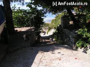 [P60] Hotel Faros - imprejurimi » foto by ionescunic
 - 
<span class="allrVoted glyphicon glyphicon-heart hidden" id="av369700"></span>
<a class="m-l-10 hidden" id="sv369700" onclick="voting_Foto_DelVot(,369700,12817)" role="button">șterge vot <span class="glyphicon glyphicon-remove"></span></a>
<a id="v9369700" class=" c-red"  onclick="voting_Foto_SetVot(369700)" role="button"><span class="glyphicon glyphicon-heart-empty"></span> <b>LIKE</b> = Votează poza</a> <img class="hidden"  id="f369700W9" src="/imagini/loader.gif" border="0" /><span class="AjErrMes hidden" id="e369700ErM"></span>