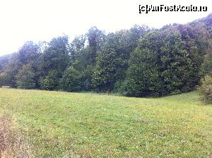 [P13] Pădurea, încă verde. Pe pajiște mai sunt ultimele flori ale verii de-a fost » foto by Yersinia Pestis
 - 
<span class="allrVoted glyphicon glyphicon-heart hidden" id="av552818"></span>
<a class="m-l-10 hidden" id="sv552818" onclick="voting_Foto_DelVot(,552818,12826)" role="button">șterge vot <span class="glyphicon glyphicon-remove"></span></a>
<a id="v9552818" class=" c-red"  onclick="voting_Foto_SetVot(552818)" role="button"><span class="glyphicon glyphicon-heart-empty"></span> <b>LIKE</b> = Votează poza</a> <img class="hidden"  id="f552818W9" src="/imagini/loader.gif" border="0" /><span class="AjErrMes hidden" id="e552818ErM"></span>