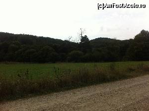 [P16] Gata, am ieșit din pădure » foto by Yersinia Pestis
 - 
<span class="allrVoted glyphicon glyphicon-heart hidden" id="av552826"></span>
<a class="m-l-10 hidden" id="sv552826" onclick="voting_Foto_DelVot(,552826,12826)" role="button">șterge vot <span class="glyphicon glyphicon-remove"></span></a>
<a id="v9552826" class=" c-red"  onclick="voting_Foto_SetVot(552826)" role="button"><span class="glyphicon glyphicon-heart-empty"></span> <b>LIKE</b> = Votează poza</a> <img class="hidden"  id="f552826W9" src="/imagini/loader.gif" border="0" /><span class="AjErrMes hidden" id="e552826ErM"></span>