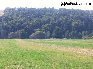 [P04] Și pădure » foto by Yersinia Pestis
 - 
<span class="allrVoted glyphicon glyphicon-heart hidden" id="av552804"></span>
<a class="m-l-10 hidden" id="sv552804" onclick="voting_Foto_DelVot(,552804,12826)" role="button">șterge vot <span class="glyphicon glyphicon-remove"></span></a>
<a id="v9552804" class=" c-red"  onclick="voting_Foto_SetVot(552804)" role="button"><span class="glyphicon glyphicon-heart-empty"></span> <b>LIKE</b> = Votează poza</a> <img class="hidden"  id="f552804W9" src="/imagini/loader.gif" border="0" /><span class="AjErrMes hidden" id="e552804ErM"></span>