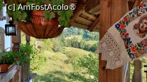 [P36] Forșorul muzeului » foto by Carmen Ion
 - 
<span class="allrVoted glyphicon glyphicon-heart hidden" id="av1462704"></span>
<a class="m-l-10 hidden" id="sv1462704" onclick="voting_Foto_DelVot(,1462704,12832)" role="button">șterge vot <span class="glyphicon glyphicon-remove"></span></a>
<a id="v91462704" class=" c-red"  onclick="voting_Foto_SetVot(1462704)" role="button"><span class="glyphicon glyphicon-heart-empty"></span> <b>LIKE</b> = Votează poza</a> <img class="hidden"  id="f1462704W9" src="/imagini/loader.gif" border="0" /><span class="AjErrMes hidden" id="e1462704ErM"></span>