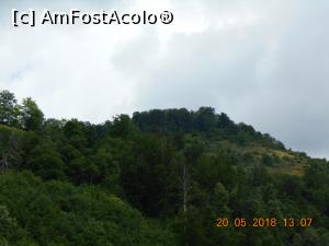 [P21] peisaj din zona mănăstirii » foto by zlatna
 - 
<span class="allrVoted glyphicon glyphicon-heart hidden" id="av1050297"></span>
<a class="m-l-10 hidden" id="sv1050297" onclick="voting_Foto_DelVot(,1050297,12858)" role="button">șterge vot <span class="glyphicon glyphicon-remove"></span></a>
<a id="v91050297" class=" c-red"  onclick="voting_Foto_SetVot(1050297)" role="button"><span class="glyphicon glyphicon-heart-empty"></span> <b>LIKE</b> = Votează poza</a> <img class="hidden"  id="f1050297W9" src="/imagini/loader.gif" border="0" /><span class="AjErrMes hidden" id="e1050297ErM"></span>