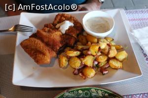 [P11] Iași, Hanul Dacilor, Cotletul Uriaș, șnițel din cotlet de porc cu sos și lămâie și garnitură, destul de consistent » foto by mprofeanu
 - 
<span class="allrVoted glyphicon glyphicon-heart hidden" id="av1133786"></span>
<a class="m-l-10 hidden" id="sv1133786" onclick="voting_Foto_DelVot(,1133786,12895)" role="button">șterge vot <span class="glyphicon glyphicon-remove"></span></a>
<a id="v91133786" class=" c-red"  onclick="voting_Foto_SetVot(1133786)" role="button"><span class="glyphicon glyphicon-heart-empty"></span> <b>LIKE</b> = Votează poza</a> <img class="hidden"  id="f1133786W9" src="/imagini/loader.gif" border="0" /><span class="AjErrMes hidden" id="e1133786ErM"></span>