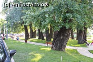 [P24] Iași, Printre Plopii fără soț m-am plimbat și eu » foto by mprofeanu
 - 
<span class="allrVoted glyphicon glyphicon-heart hidden" id="av1133799"></span>
<a class="m-l-10 hidden" id="sv1133799" onclick="voting_Foto_DelVot(,1133799,12895)" role="button">șterge vot <span class="glyphicon glyphicon-remove"></span></a>
<a id="v91133799" class=" c-red"  onclick="voting_Foto_SetVot(1133799)" role="button"><span class="glyphicon glyphicon-heart-empty"></span> <b>LIKE</b> = Votează poza</a> <img class="hidden"  id="f1133799W9" src="/imagini/loader.gif" border="0" /><span class="AjErrMes hidden" id="e1133799ErM"></span>