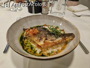 [P09] Dorada mea mediteraniana » foto by DOINITA
 - 
<span class="allrVoted glyphicon glyphicon-heart hidden" id="av1401799"></span>
<a class="m-l-10 hidden" id="sv1401799" onclick="voting_Foto_DelVot(,1401799,12895)" role="button">șterge vot <span class="glyphicon glyphicon-remove"></span></a>
<a id="v91401799" class=" c-red"  onclick="voting_Foto_SetVot(1401799)" role="button"><span class="glyphicon glyphicon-heart-empty"></span> <b>LIKE</b> = Votează poza</a> <img class="hidden"  id="f1401799W9" src="/imagini/loader.gif" border="0" /><span class="AjErrMes hidden" id="e1401799ErM"></span>