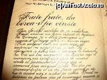 [P07] pe fiecare pagina a meniului gasesti povestioare pline de talc » foto by Sanziana
 - 
<span class="allrVoted glyphicon glyphicon-heart hidden" id="av80593"></span>
<a class="m-l-10 hidden" id="sv80593" onclick="voting_Foto_DelVot(,80593,12895)" role="button">șterge vot <span class="glyphicon glyphicon-remove"></span></a>
<a id="v980593" class=" c-red"  onclick="voting_Foto_SetVot(80593)" role="button"><span class="glyphicon glyphicon-heart-empty"></span> <b>LIKE</b> = Votează poza</a> <img class="hidden"  id="f80593W9" src="/imagini/loader.gif" border="0" /><span class="AjErrMes hidden" id="e80593ErM"></span>
