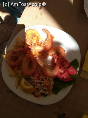 [P20] Pe furiș, pentru ca nu se cade????.. un dish la Enavlion » foto by MaraMura
 - 
<span class="allrVoted glyphicon glyphicon-heart hidden" id="av1240899"></span>
<a class="m-l-10 hidden" id="sv1240899" onclick="voting_Foto_DelVot(,1240899,12909)" role="button">șterge vot <span class="glyphicon glyphicon-remove"></span></a>
<a id="v91240899" class=" c-red"  onclick="voting_Foto_SetVot(1240899)" role="button"><span class="glyphicon glyphicon-heart-empty"></span> <b>LIKE</b> = Votează poza</a> <img class="hidden"  id="f1240899W9" src="/imagini/loader.gif" border="0" /><span class="AjErrMes hidden" id="e1240899ErM"></span>